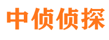 太平市私家侦探